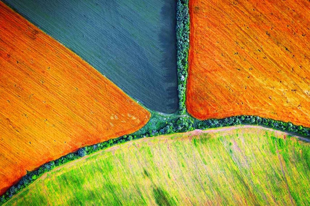 Top-down orthomosaic survey field